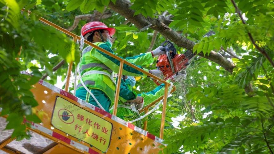 市政园林绿化工程怎么接