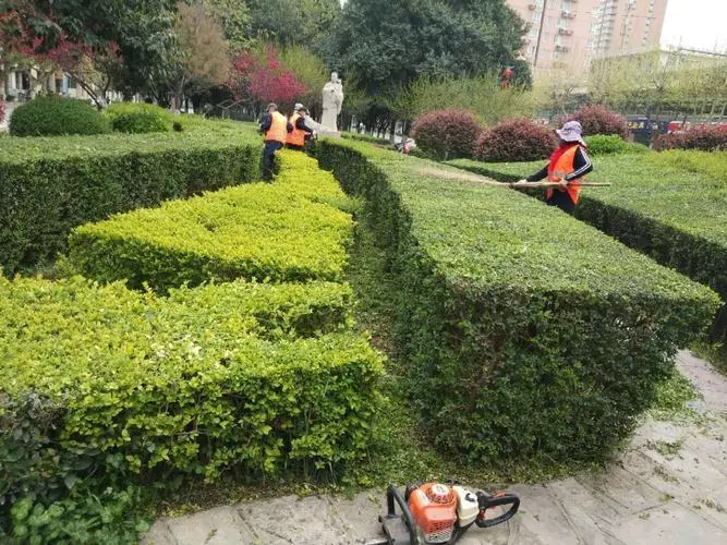 扬州绿化工程批发市场在哪
