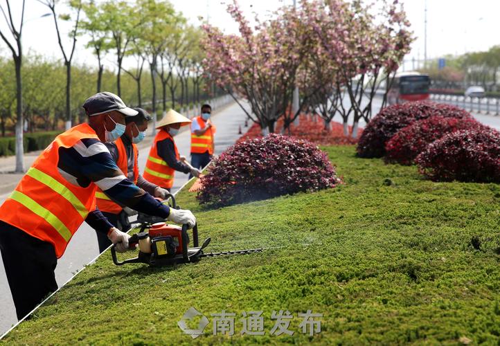 中山社区绿化工程