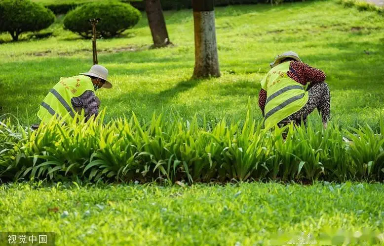 大田县园林景观设计